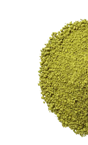 L-Theanine green tea powder ingredient